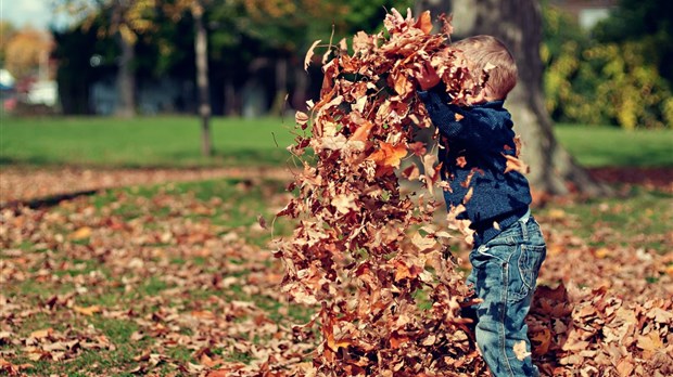 Quelle est votre activité d'automne préférée ?