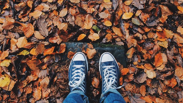 What's your favorite fall activity?