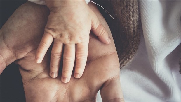Child abuse in family daycare: parents deplore lack of response from authorities  