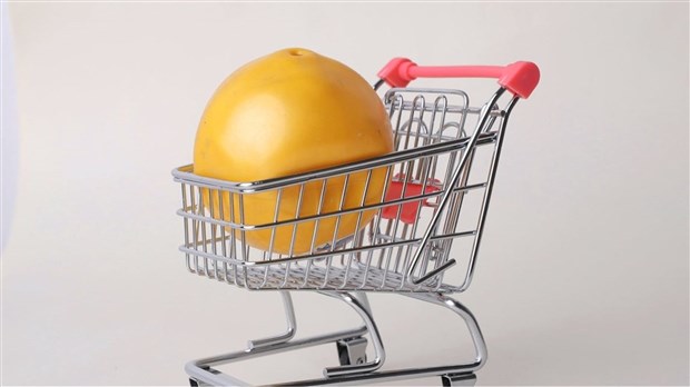 HungerCount 2023: 32% increase in monthly food requirements   