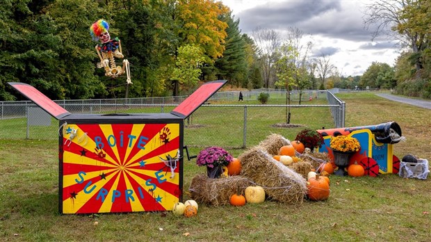Dernière chance pour réussir la Mission Halloween au parc-nature Harwood  