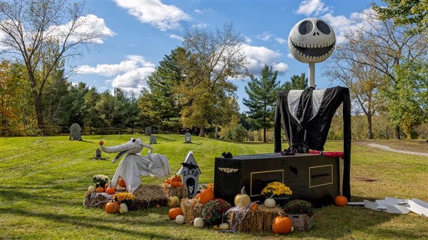 Last chance to complete Mission Halloween at Harwood Nature Park  