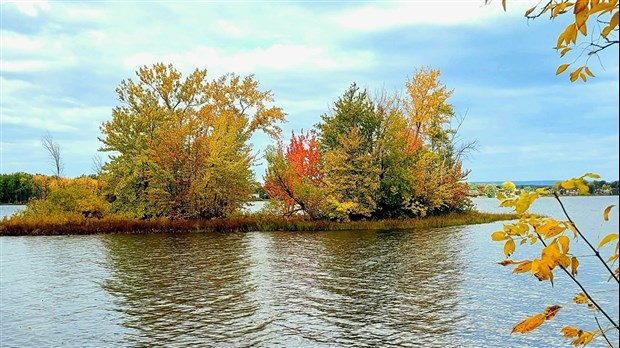Les Vaudreuil-Soulangeois ont un faible pour les couleurs automnales