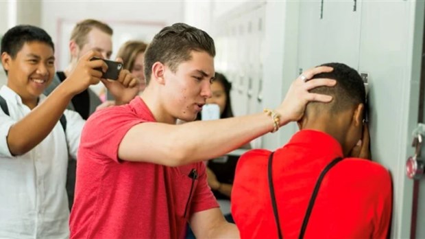 Do you think schools are doing enough to combat violence and bullying?