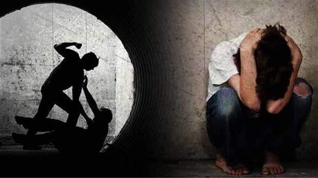Are schools doing enough to combat violence and bullying?   