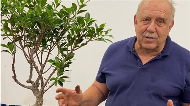  The fascinating world of bonsai at the heart of the last SHESL conference in 2023   