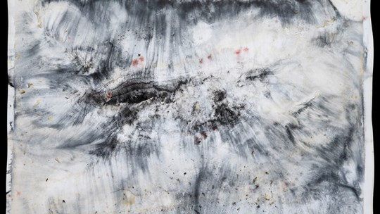 L'artiste Gilles Samoisette est choisi pour une résidence au CACVS