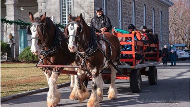 Deux activités de Noël à Saint-Louis-de-Gonzague cette année 