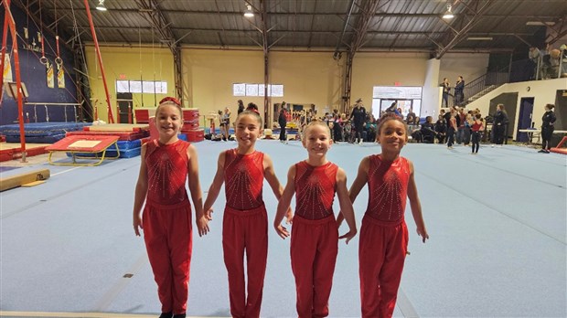 Four Gymini gymnasts shine at the Défi provincial  