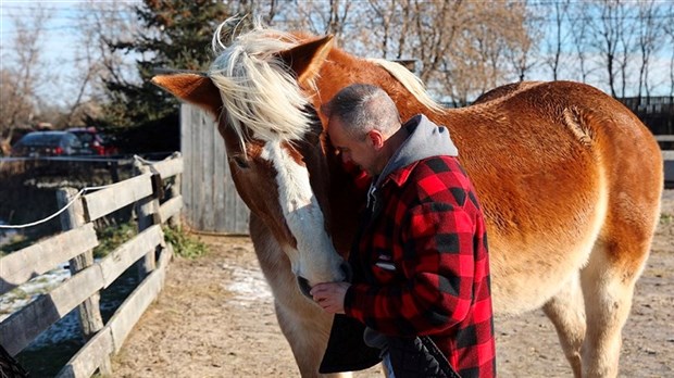 Horses and specialists welcome you December 9