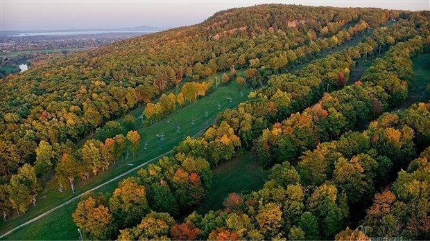 Nature-Action Québec veut protéger les rainettes faux-grillon sur le mont Rigaud 