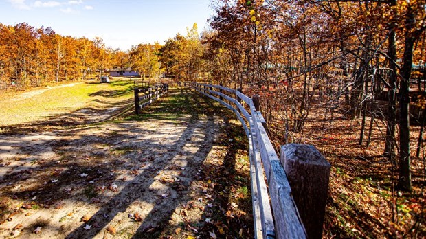 Saint-Lazare lance un sondage pour les usagers du parc nature Les Forestiers 