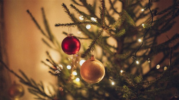 Natural Christmas tree: what can you do to reduce the risk of fire? 