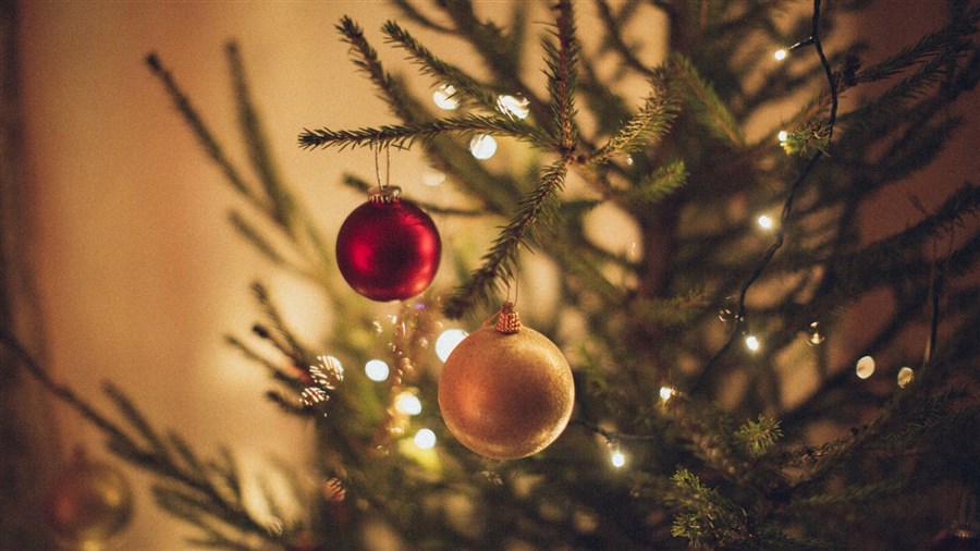 Natural Christmas tree: what can you do to reduce the risk of fire? 