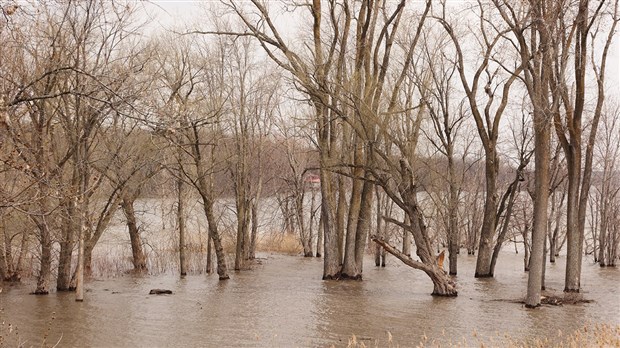 Pluie forte: comment vérifier sa pompe d'évacuation pour éviter l'inondation? 