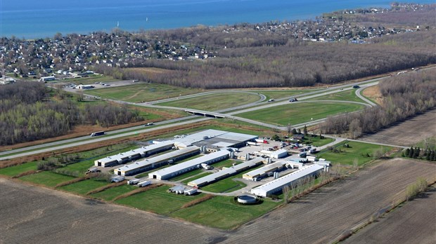 An $18 million mega-investment in Saint-Télesphore for poultry barns