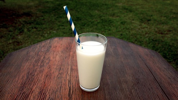 Les producteurs de lait offrent le lait en cadeau de Noël 