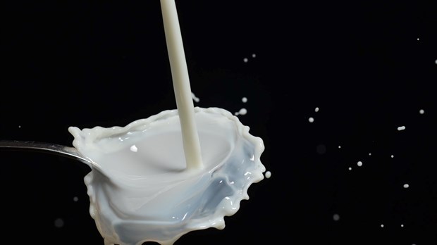 Milk producers offer milk as a Christmas present 