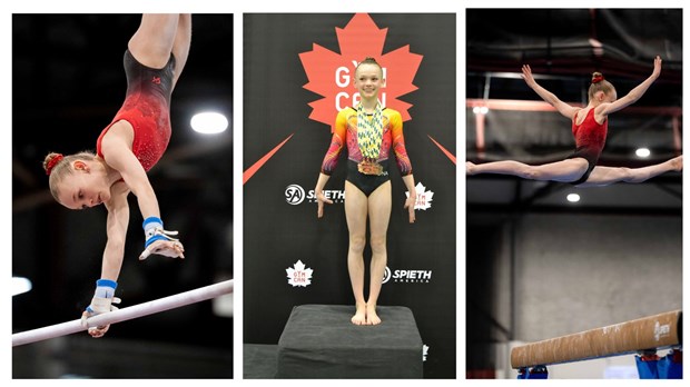 Un total de cinq médailles pour une gymnaste perrotdamoise