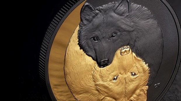 Une belle reconnaissance pour le peintre animalier Claude Thivierge 