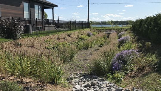 Un aménagement pro-biodiversité conçu par la Ville récompensé