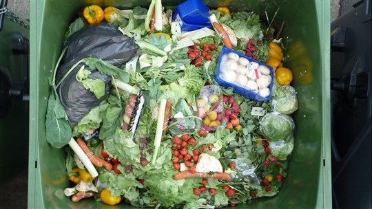 Le gaspillage alimentaire au coeur d'une conférence en ligne ce mardi 