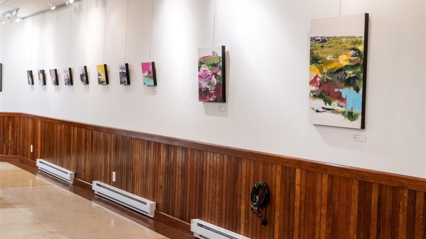 Stéphanie Viens de Notre-Dame-de-l'Île-Perrot expose au Pavillon Wilson