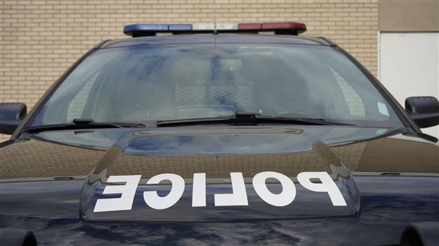 Perquisition en lien avec un trafic de stupéfiants à Les Cèdres