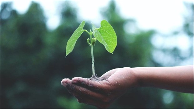 Les Coteaux lance les Missions Enviro-Printanières qui s'étalent jusqu'à la mi-juin 