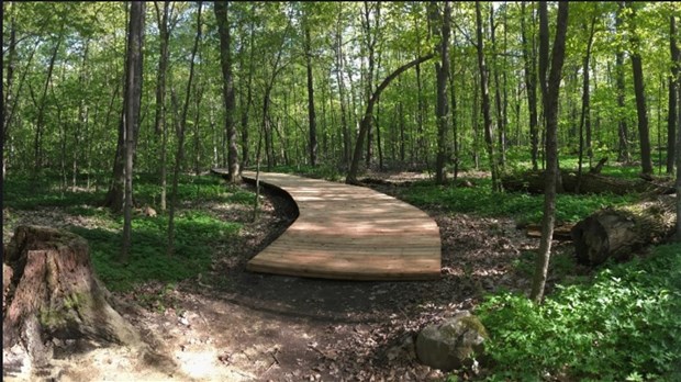 Nouveau projet de carillons pour le Musée québécois d’archéologie de la Pointe-du-Buisson 