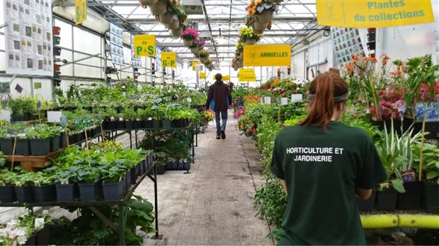 Retour de l'activité Moissons en fleurs les 12 et 13 mai à Beauharnois 