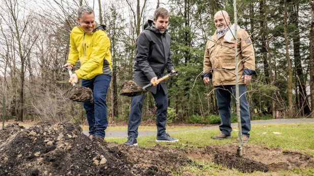 Steven Guilbeault annonce près de 500 000 $ pour reboiser Vaudreuil-Dorion