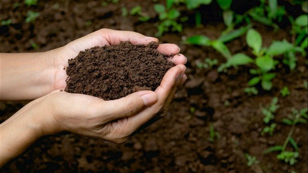 Compost gratuit ce samedi à Saint-Louis-de-Gonzague 