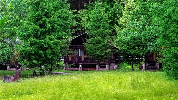 La Ville de Rigaud souligne le Mois de l'arbre et des forêts 