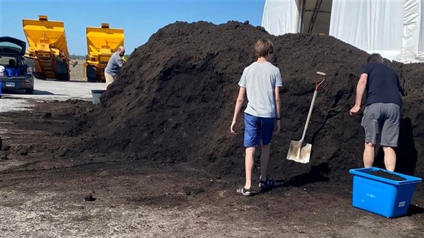 Verdir les Cèdres: distribution d'arbres et de compost