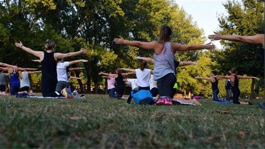 Une journée de yoga dans les bois le samedi 3 juin 