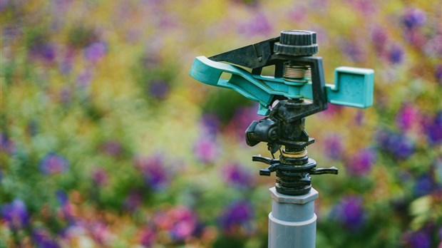 Notre Dame de l'Île Perrot restricts lawn watering to twice weekly