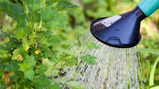 La MRC de Vaudreuil-Soulanges sensibilise sur la consommation d'eau potable 