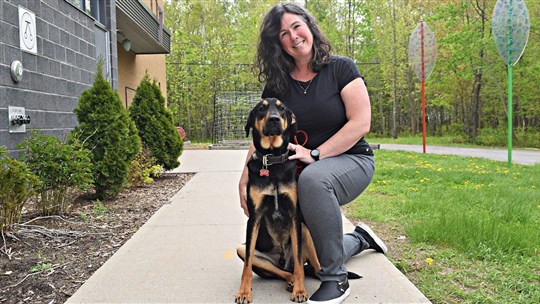 Comfort animals help students deal with stress and anxiety