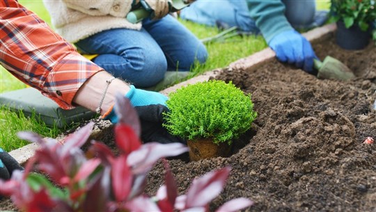 Hommage au jardinage