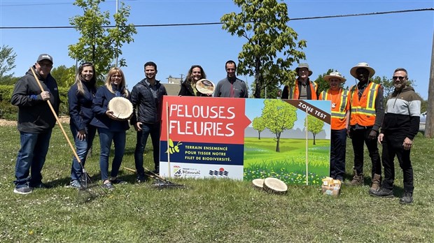 Un projet-pilote d'ensemencement des pelouses déployé à Salaberry-de-Valleyfield