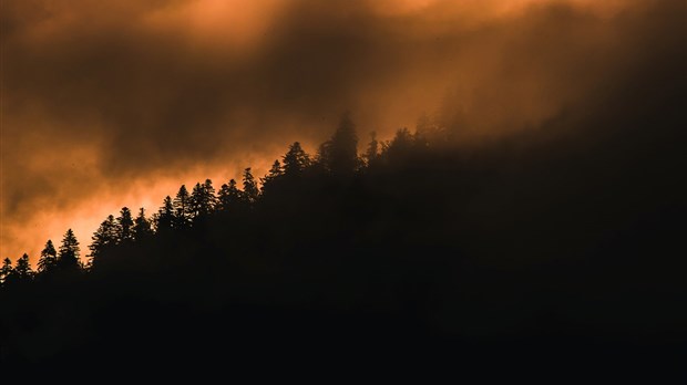 Qualité de l'air: quelles précautions prendre pour éviter d'être affecté? 