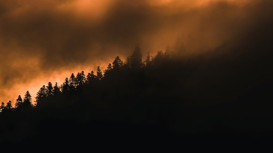 Qualité de l'air: quelles précautions prendre pour éviter d'être affecté? 