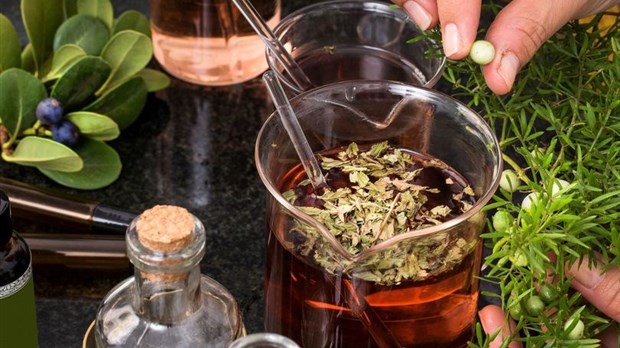 Apprendre à fabriquer ses propres produits avec des plantes médicinales 