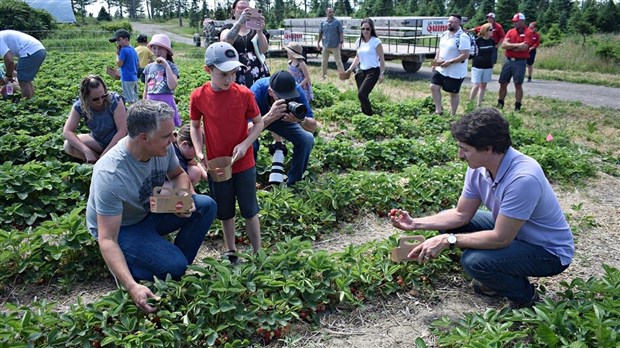Prime Minister Trudeau enjoys outing to pick strawberries