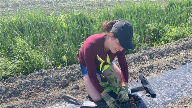 Programme ALUS: 22 hectares  de terres agricoles aménagées en 2023 