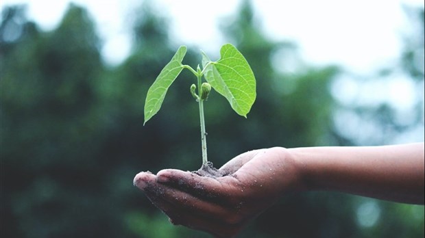 Two citizens with a passion for the environment wanted in Vaudreuil-Dorion 