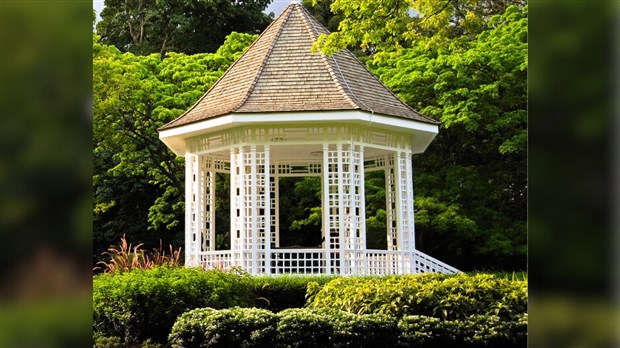 Votez pour le gazebo gourmand