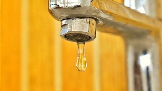 Les Cèdres: increased monitoring of THM levels in water