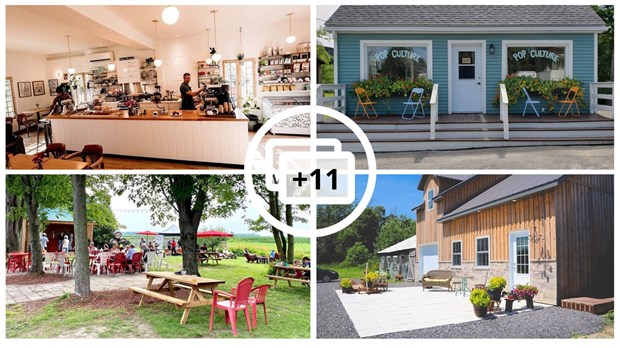 Explore Vaudreuil-Soulanges with your dog